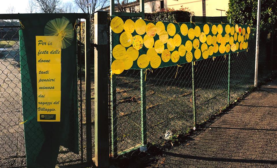 mimosa villaggio sos vicenza magazine sos bimbi vicenza eventi festa della donna cosa fare a vicenza seminare rispetto in tutta la città di vicenza gatte vicentine