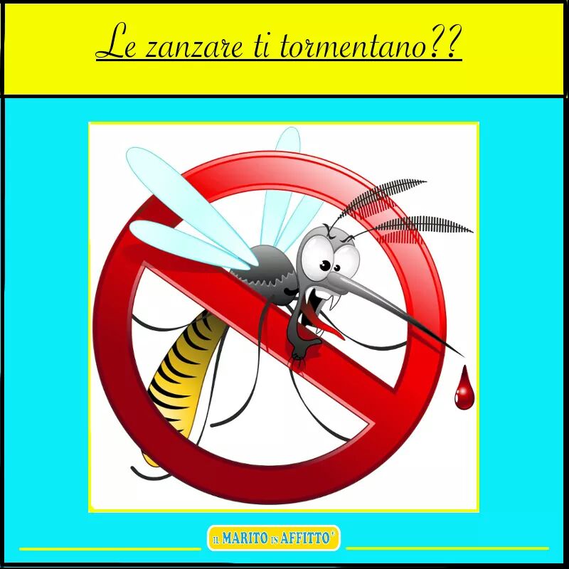 come difendersi dalle zanzare difesa zanzare vicenza eventi a vicenza cosa fare a vicenza gatte vicentine donne di vicenza donne vicentine il marito in affitto di vicenza gianluca piva marito in affitto zanzariere vicenza trattamenti zanzare vicenza bonifica zanzare vicenza lavori in casa a vicenza 