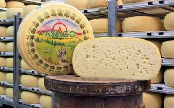 Consorzio tutela formaggio asiago cheese formaggio asiago vicenza altopiano di asiago danni boschi asiago Bosco altopiano ilaria rebecchinconsorzio vicenza eventi Natale a vicenza Natale asiago cosa fare in veneto cosa fare a Vicenz amagazine veneto Gatte Vicentine donne di vicenza 